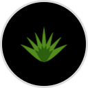 Casa Tequila Restaurant