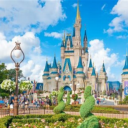 Ogas Cantina at the Walt Disney World Resort