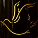 Abingdon Olive Oil Company