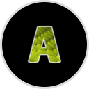 Alligator Alley Adventures