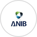 ANIB Car Insurance