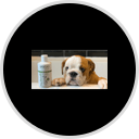 Anicura Natural Pet Solutions