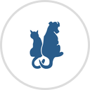 Animal House Veterinary Hospital