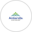 Antivirus Chips logo