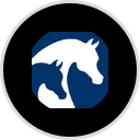 Arabian Horses Association