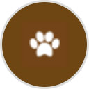 Armonk Veterinary Clinic