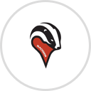 Badger Mapping logo