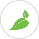 Bambu Organic Massage