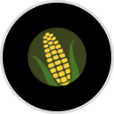 Bank of Green Country