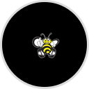 Bee Clean Express Wash