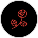 Best Quality Daughter