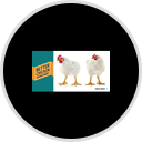 Better Chicken Commitment