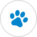 Better Choice Company