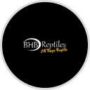 BHB Reptiles