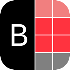 Bible Reasons logo