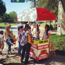 Big D Fun Tours logo