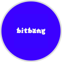 BitBang Club