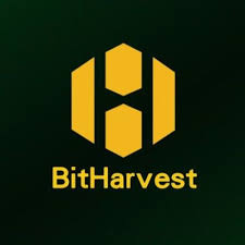 Bitharvest Solutions