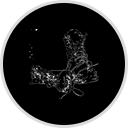 Black Ankle Vineyard