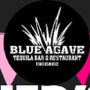 Blue Agave Chicago