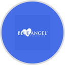 Blue Angel Solutions