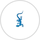 Blue Lizard Sunscreen