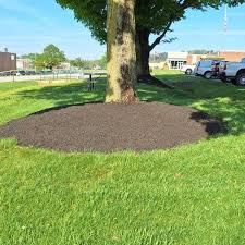 Blue Mountains Service