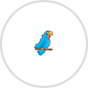 Blue Parrott St. Pete Beach