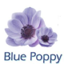 Blue Poppy