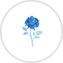 Blue Rose Group Inc.