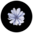 Bogie Lake Greenhouses