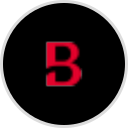 Bridge Point Holdings