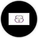 Bridget's La Jolla Blooms