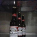 Budweiser