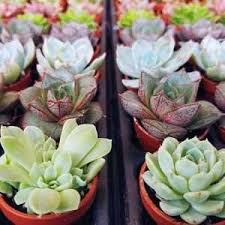 BulkPlantDepot.com