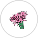 Cactus Flower Restaurant