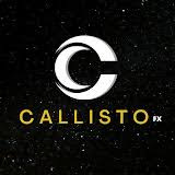 Callisto Fort VPN