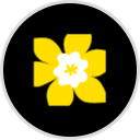 Canadian Cancer Society