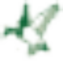 Carolina Plantation Ric