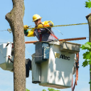 Central WebRecurring