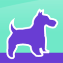 Center Sinai Animal Hospital