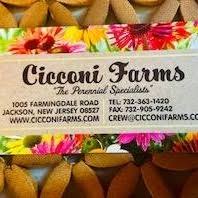 Cicconi Farms