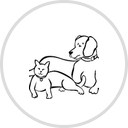 Cicero Animal Clinic