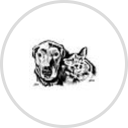 Claremont Veterinary Hospital