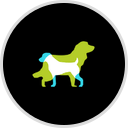 Classy Canines Pet Resort