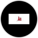 Classy Hippie Tea Co.