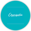Cleanipedia logo