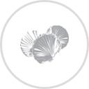 Conway Family Wines Logo