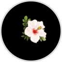 Corey Avenue Fresh Market