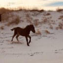 Corolla Jeep Adventures